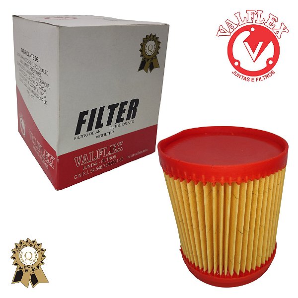 ELEMENTO FILTRO DE AR CG 150 04 VALFLEX