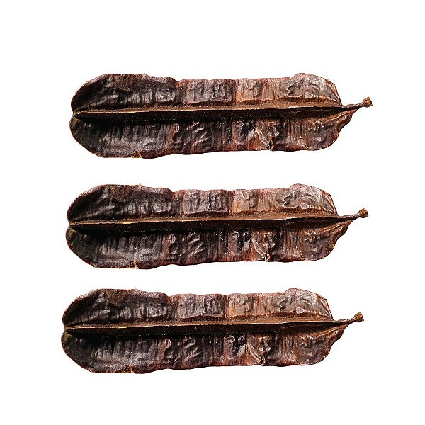 3 Fava De Aridan Africana Original Para Rituais Religiosos