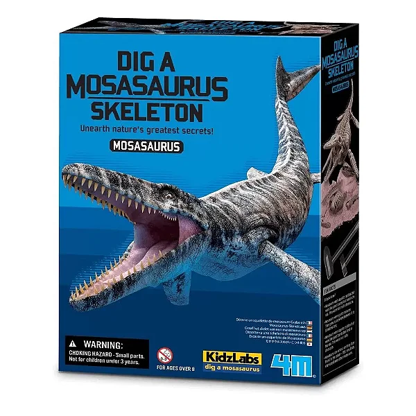 Kit de Escavação Mosassauro - Escavação de Fósseis e Esqueleto 4M