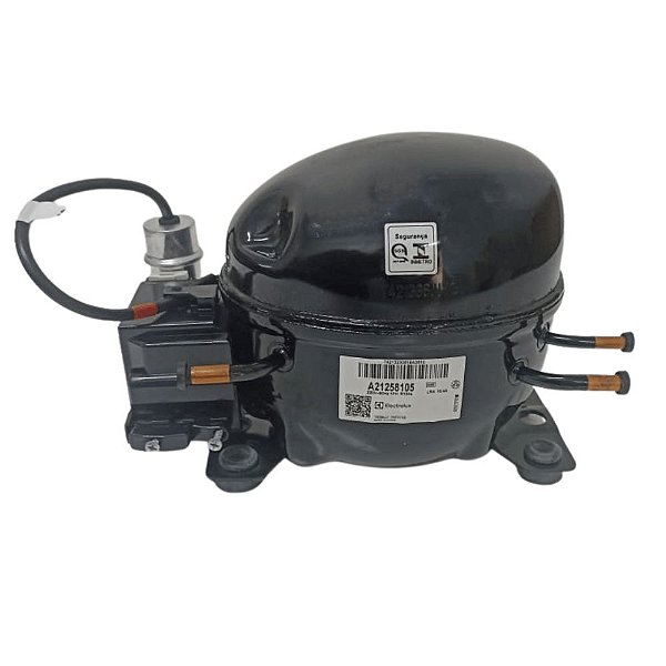 Compressor Electrolux A21258105 EL60H 1/5 R134a 220V Original