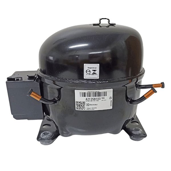 Compressor Electrolux A21258103 EL100H 1/3 R134A 220V Original