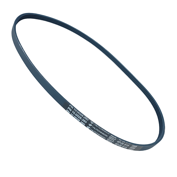 Correia Poly-V 4PJE 818 Lavadora Mueller Family Agile 100028260 Original