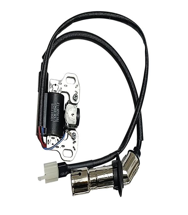 Bobina de Ignição Gerador Dji D12000i / 12000iE P2 / D12500iE (ZS) YC.DZ.GR000009
