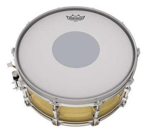 Pele Remo Controlled Sound X 10  Porosa