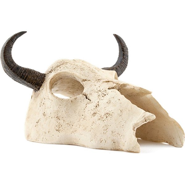ENFEITE DE RESINA SOMA ESQUELETO CABEÇA DE BÚFALO