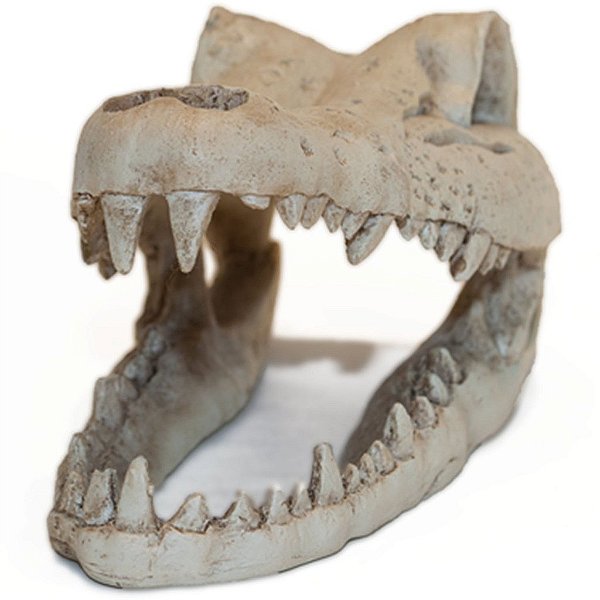 ENFEITE DE RESINA SOMA ESQUELETO CABEÇA DE CROCODILO PQ