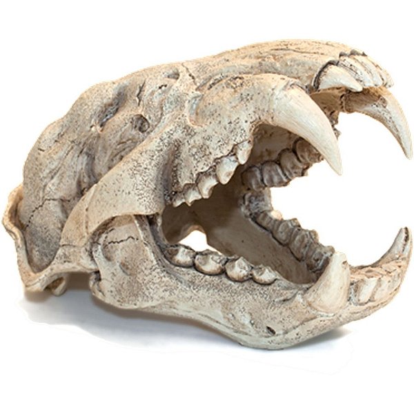 ENFEITE DE RESINA SOMA ESQUELETO CABEÇA DE PUMA