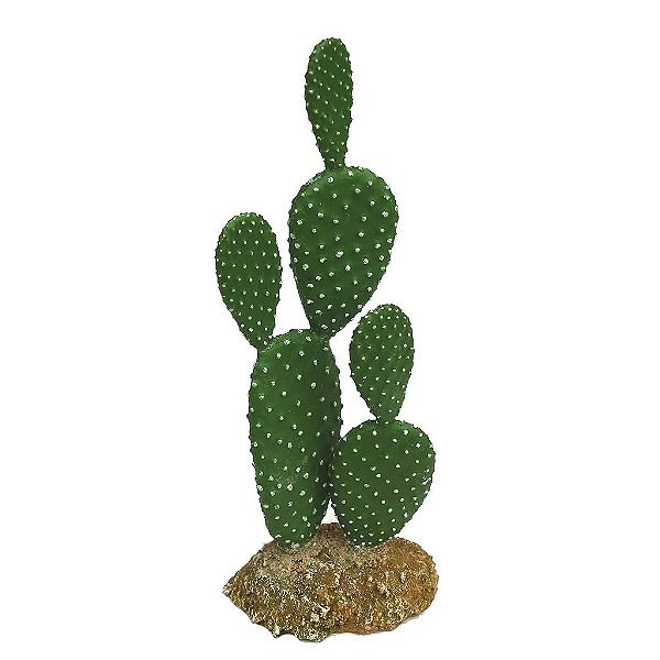 ENFEITE DE RESINA SOMA PLANTA CACTUS 102