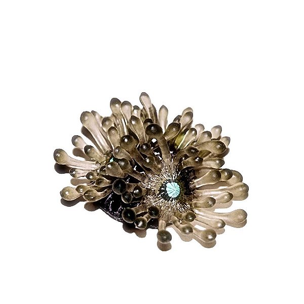 ENFEITE DE SILICONE SOMA CORAL LEATHER FINGER CINZA 02