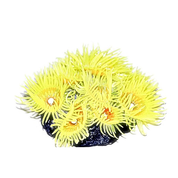 ENFEITE DE SILICONE SOMA CORAL ZOANTHUS AMARELO 04