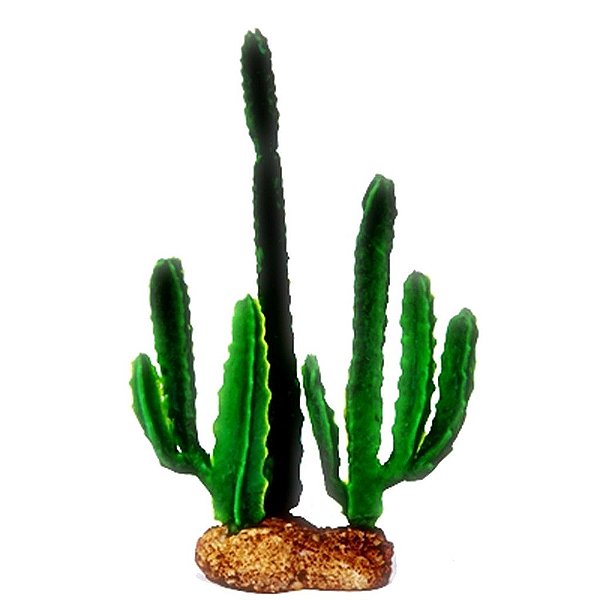 ENFEITE DE SILICONE SOMA PLANTA CACTUS 04
