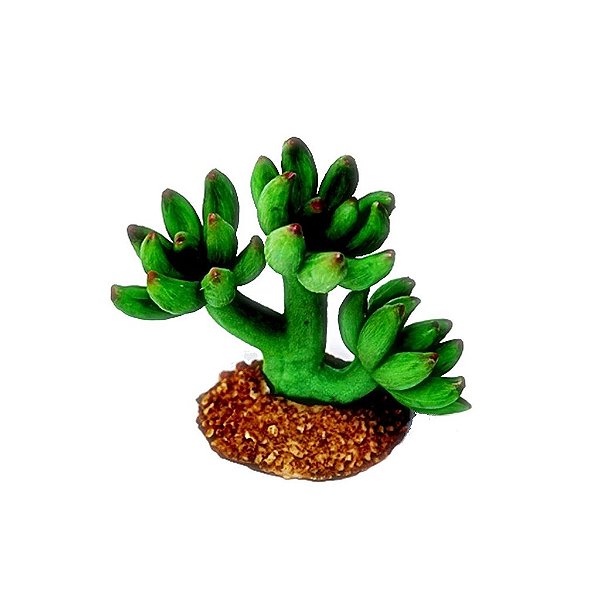 ENFEITE DE SILICONE SOMA PLANTA CACTUS 09