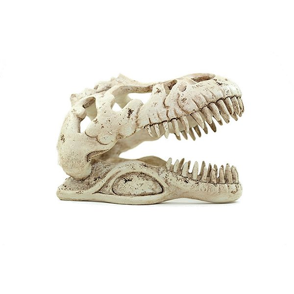 ENFEITE RESINA SOMA ESQUELETO CABEÇA DE TIRANOSSAURO REX PQ
