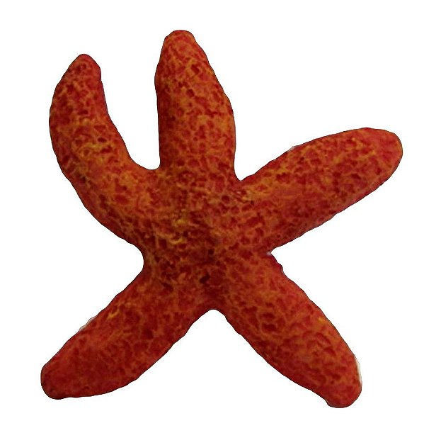 ENFEITE RESINA SOMA INVERTEBRADO ESTRELA DO MAR LARANJA 01