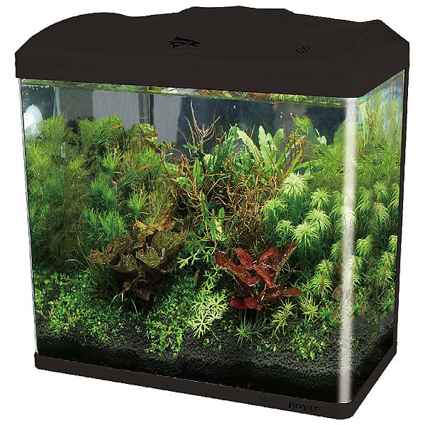 AQUARIO CURVO BOYU EC-600 66L PRETO 220V
