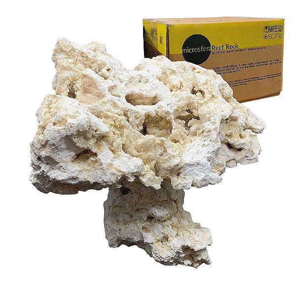 ROCHA MARINHA SOMA MICROSFERA REEF PLATE PEDESTAL NATURAL TOP 5UN (CX)