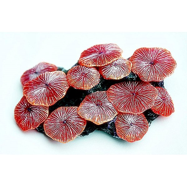 ENFEITE DE SILICONE SOMA CORAL RICORDEA VERMELHA 04