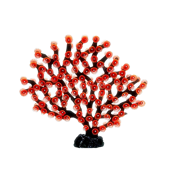 ENFEITE DE SILICONE SOMA INVERT GORGONIA FLORIDA VERMELHA