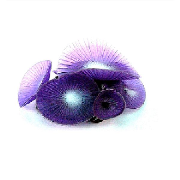 ENFEITE DE SILICONE SOMA CORAL MUSHROOM GIANT ROXO