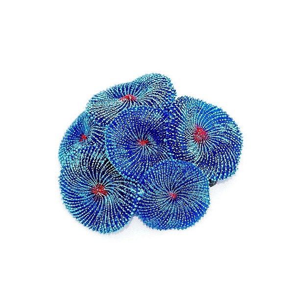 ENFEITE DE SILICONE SOMA CORAL RICORDEA AZUL 02
