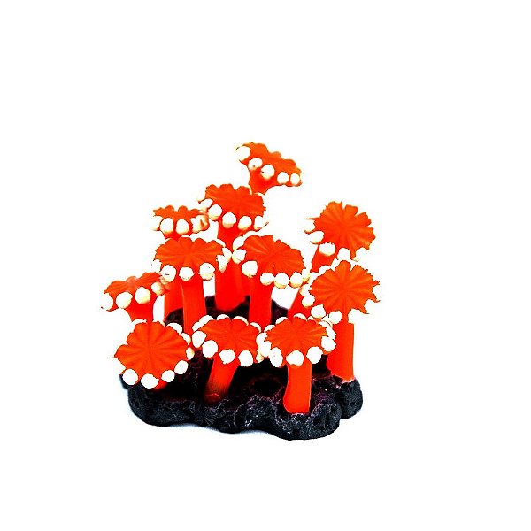 ENFEITE DE SILICONE SOMA CORAL ZOANTHUS PALITHOA LARANJA