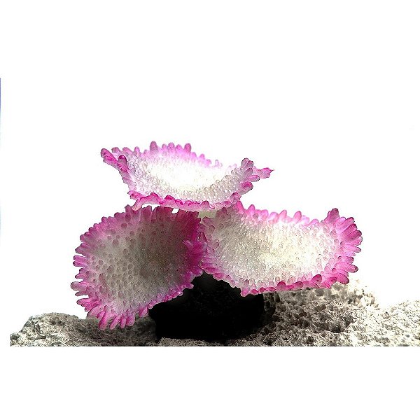 ENFEITE DE SILICONE SOMA CORAL MUSHROOM SPOTTED BRANCO 04