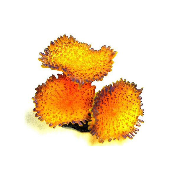 ENFEITE DE SILICONE SOMA CORAL MUSHROOM SPOTTED LARANJA 04