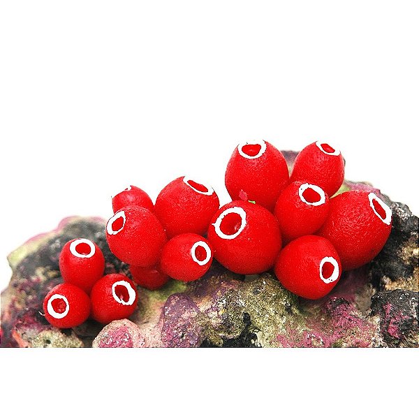 ENFEITE DE SILICONE SOMA INVERT ASCIDEA VERMELHA