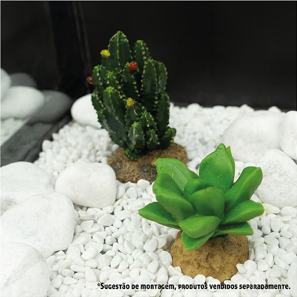 ENFEITE DE SILICONE SOMA PLANTA CACTUS 15