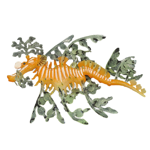 ENFEITE DE SILICONE SOMA JELLY DRAGAO DO MAR