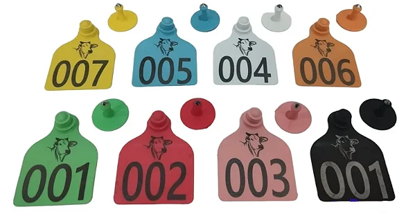 Brincos Personalizados para Gado | kit 100 Brincos