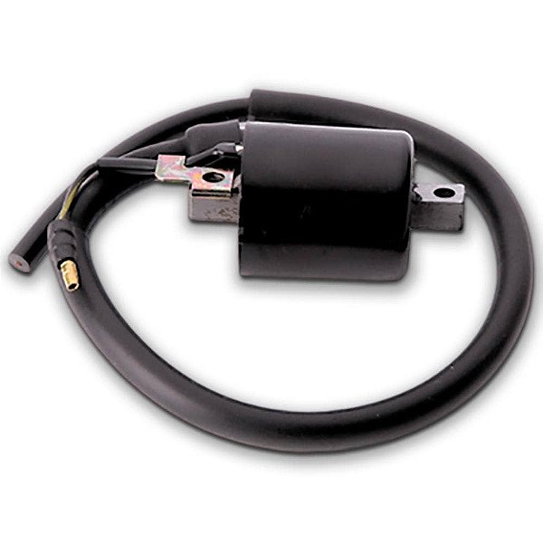 Bobina de Ignição Honda Biz 100 C 1998 a 2020 Gauss