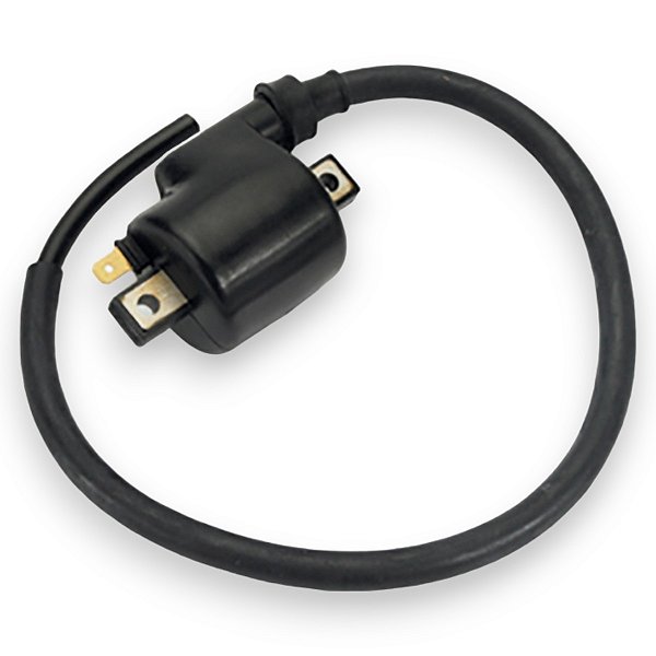 Bobina De Ignicao Gm12012 Gauss Turuna 125 - 0.1 1979-1983