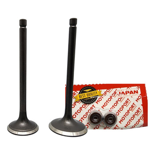 Kit Válvula Admissão E Escape Com Retentor Fazer Lander 250