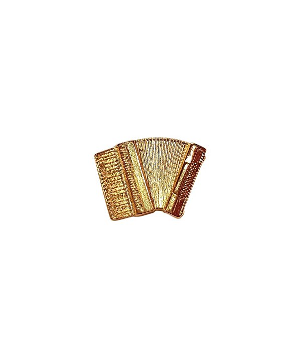 Broche Acordeon Flash Ouro Minimalista Clássico