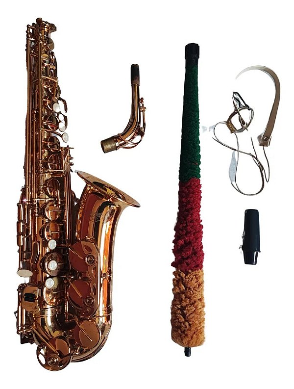 Saxofone Alto Usado Winner Cor Dourado (Usado)