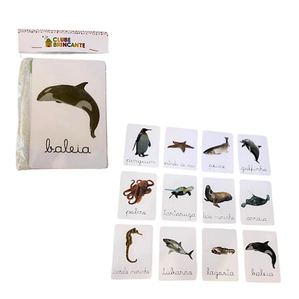 Flash Cards Tipo Animais Marinhos - Clube Brincante