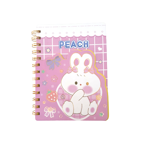 CADERNO DE ANOTAÇÃO 100 FOLHAS 13,2CMX18,2CM