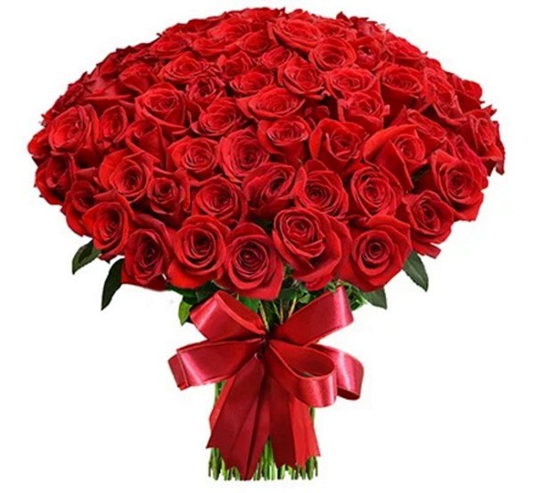 Bello Buquê Com 100 Rosas