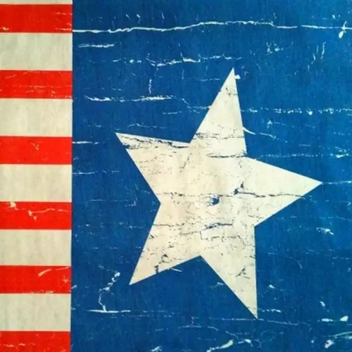 Tnt Estampado Metro - America