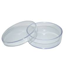 Latinha Plástica Colorida – 10 Unidades - Cristal