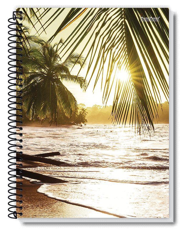 Caderno Universitário 20 Matérias 400 Folhas New Pauta Branca