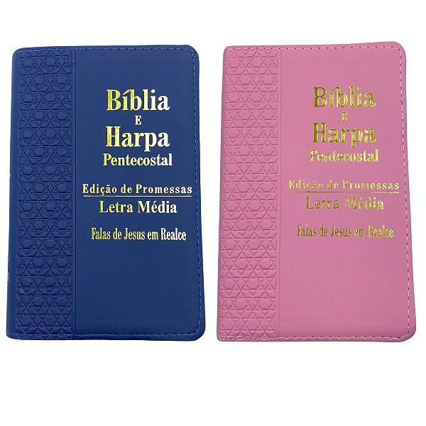 Bíblia Sagrada E Harpa Letra Média Rosa Azul King'S