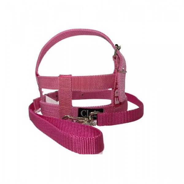 Conj Guia e Peitoral Grande Porte FBI N 10 ROSA
