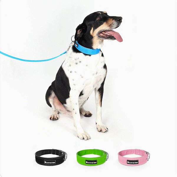 Coleira Porte Grande P Bicolor Animal Zen