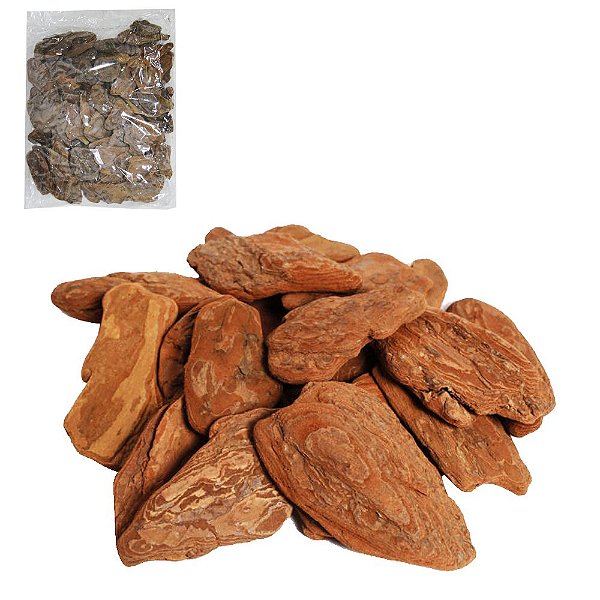 CASCA DE PINUS POLIDA DECORATIVA 140GR TERRA BRASIL