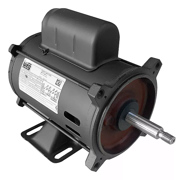 MOTOR WEG JET-PUMP 1/4 CV PALITO