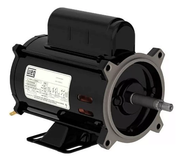 MOTOR WEG JET-PUMP 3/4 CV PALITO