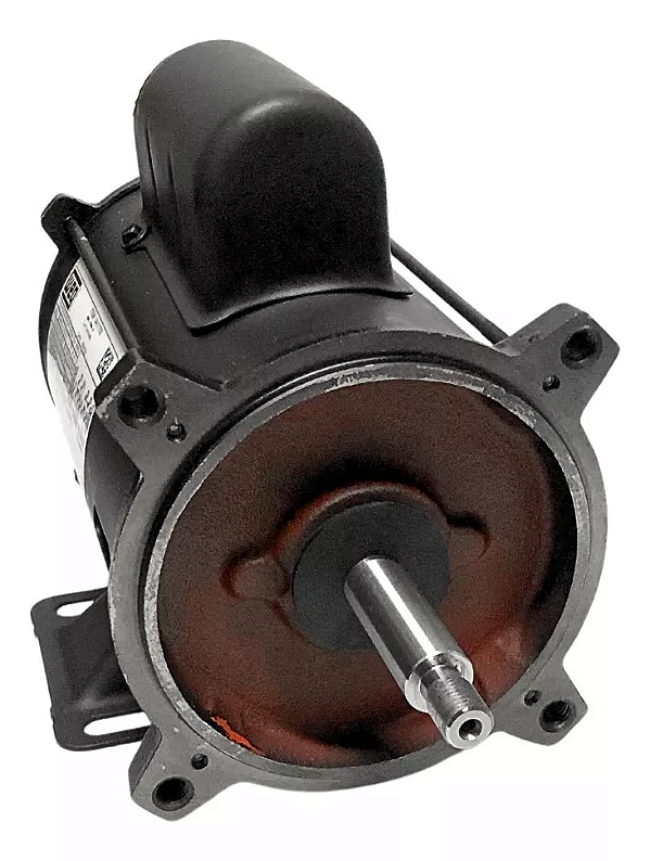 MOTOR WEG JET-PUMP 1,5 CV PALITO