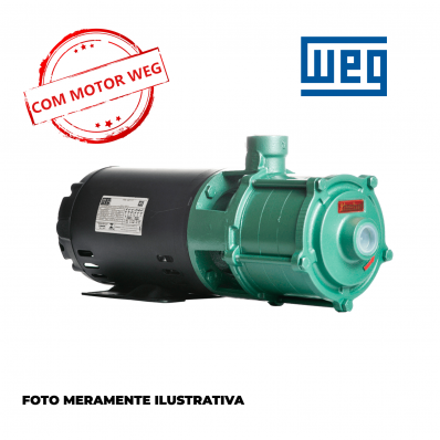BOMBA THEBE 2,0 CV MULTIESTAGIO TRIF (COM MOTOR WEG)